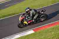 Evening Low_Mid Group Multicolour Bikes